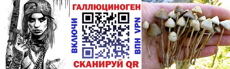 Галлюциногенные грибы Psilocybe  где купить наркоту  Мытищи 